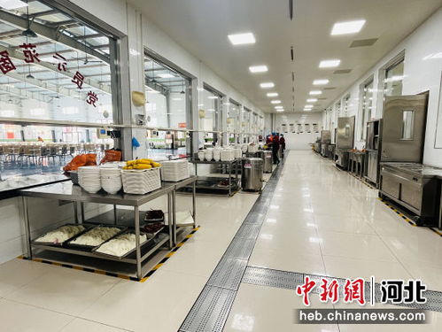河北涞水 互联网 明厨亮灶 护航校园食品安全