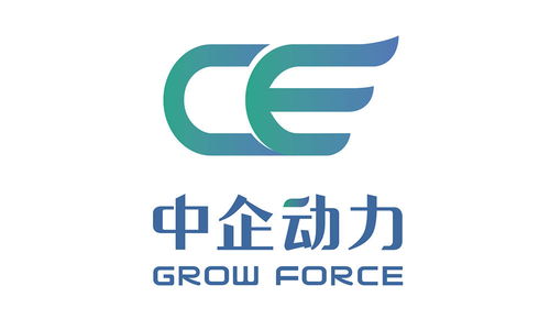 凯方企业家 吉林长春5大互联网公司盘点