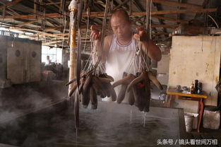 探访中国最大鹿乡 实拍鹿茸加工厂